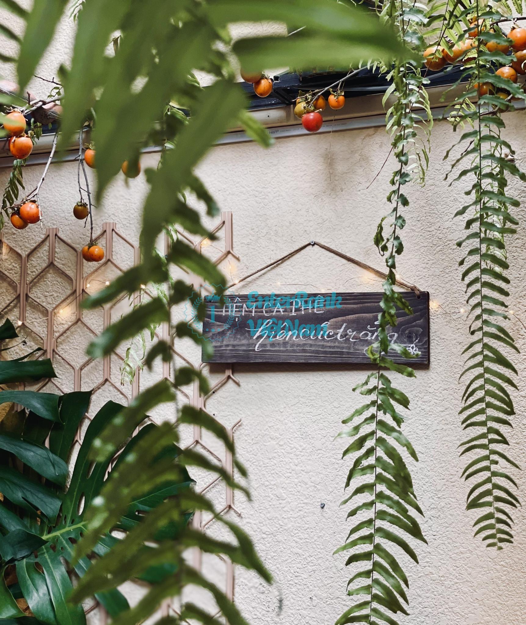 Top 15 quán cafe Sài Gòn đẹp có view cực chất, giá rẻ 43 Tiệm cà phê Hiên Cúc Trắng Thanh lịch và thân thiện