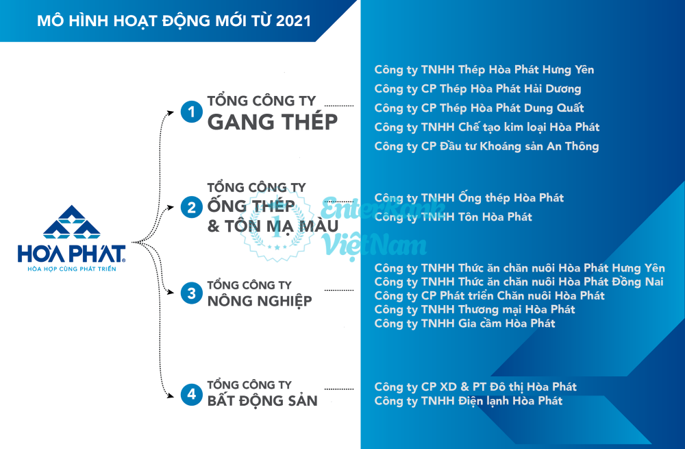  Cơ cấu tổ chức và các lĩnh vực kinh doanh chính