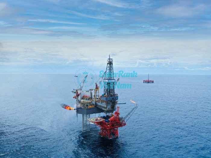 Vai Trò và Sứ Mệnh Của PVEP 