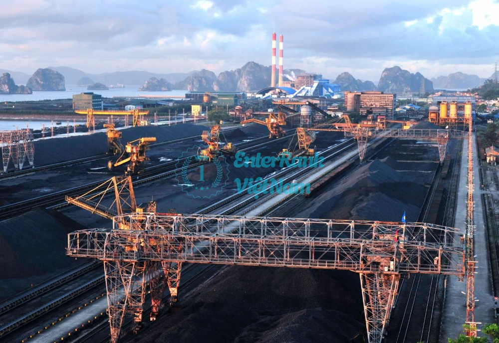 Vị thế và quy mô hoạt động