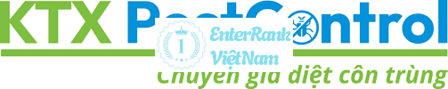 Top 10 Các Đơn Vị Cung Cấp Giải Pháp Diệt Côn Trùng Uy Tín Tại Việt Nam 39 KTX Pest Control