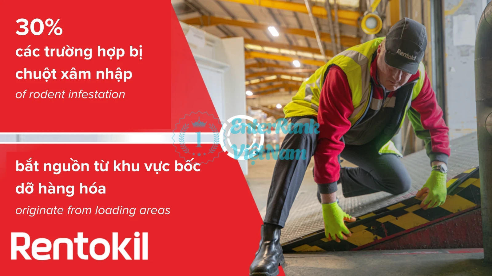 Top 10 Các Đơn Vị Cung Cấp Giải Pháp Diệt Côn Trùng Uy Tín Tại Việt Nam 37 Rentokil Initial Việt Nam