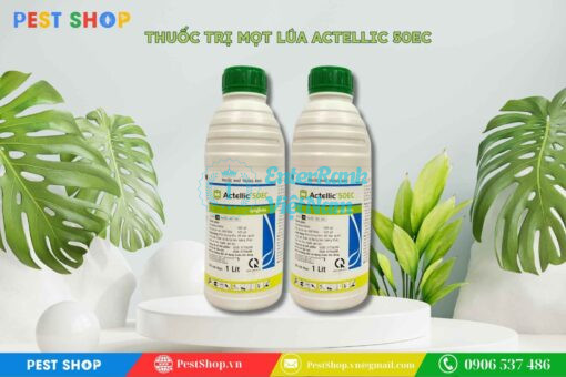 Review Giải Pháp Diệt Côn Trùng tại Pest Shop có uy tín không? 39 Thuốc diệt mọt thóc Actellic 50EC