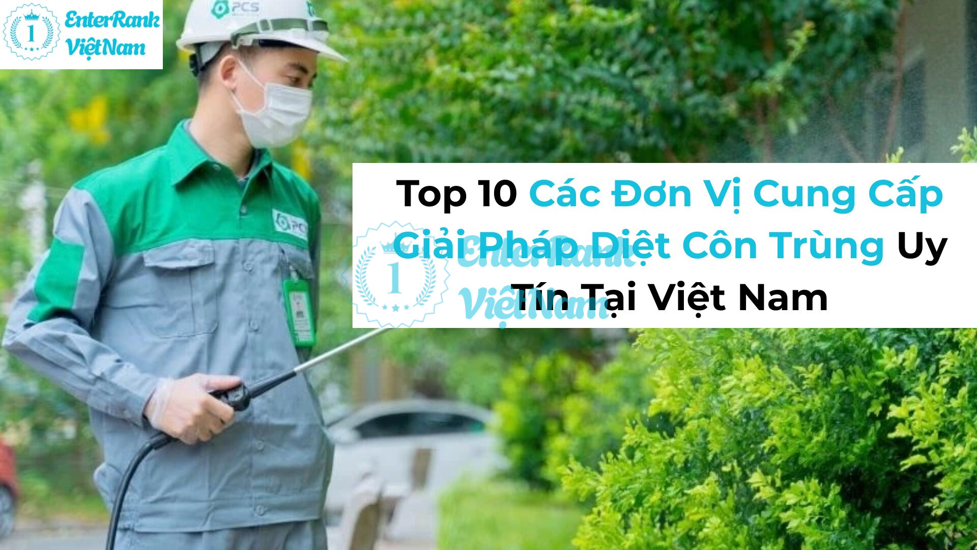 Top 10 Các Đơn Vị Cung Cấp Giải Pháp Diệt Côn Trùng Uy Tín Tại Việt Nam