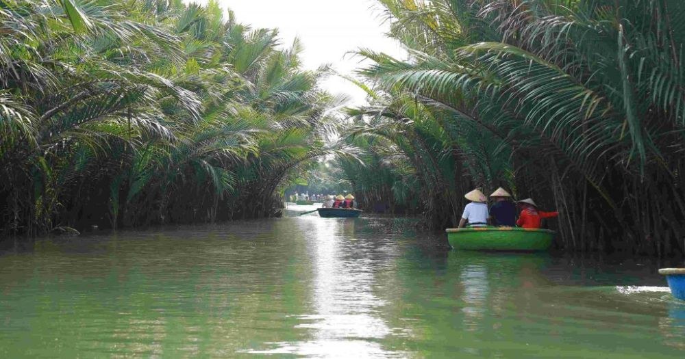 Hành trình chèo thuyền thúng nan tre xuyên rừng dừa nước Cẩm Thanh Hội An